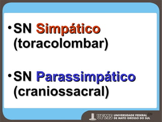 • SN Simpático
(toracolombar)
• SN Parassimpático
(craniossacral)
Prof. Ronny M de Moraes 220

220

 