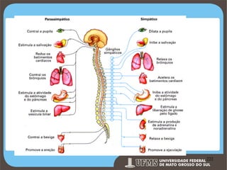 Prof. Ronny M de Moraes 222

222

 