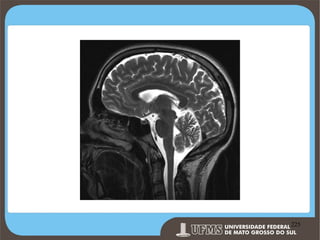 Prof. Ronny M de Moraes 225

225

 