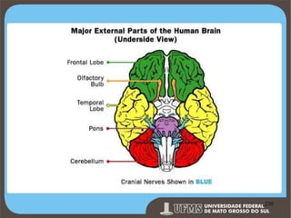 Prof. Ronny M de Moraes 230

230

 