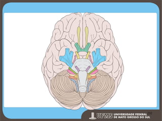 Prof. Ronny M de Moraes 232

232

 
