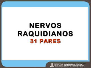 NERVOS
RAQUIDIANOS
31 PARES

Prof. Ronny M de Moraes 238

238

 