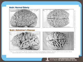 Prof. Ronny M de Moraes 277

277

 