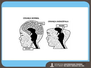 Prof. Ronny M de Moraes 278

278

 