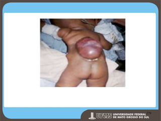 Prof. Ronny M de Moraes 279

279

 