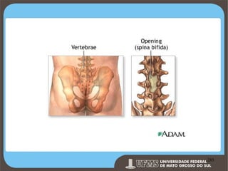 Prof. Ronny M de Moraes 285

285

 