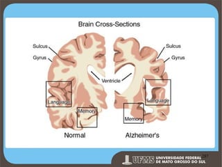 Prof. Ronny M de Moraes 287

287

 