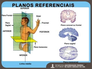 PLANOS REFERENCIAIS

Plano coronal ou frontal

Plano sagital

Linha média

Plano transversal

Prof. Ronny M de Moraes 35

35

 