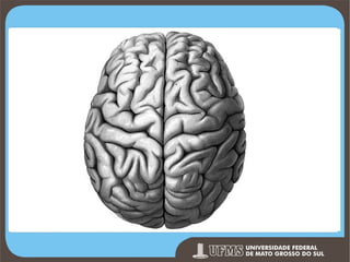 Prof. Ronny M de Moraes 40

 