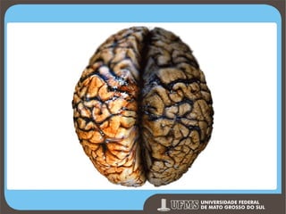 Prof. Ronny M de Moraes 45

 