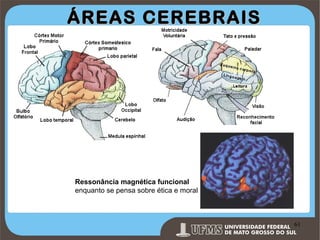 ÁREAS CEREBRAIS

Ressonância magnética funcional
enquanto se pensa sobre ética e moral

Prof. Ronny M de Moraes 61

61

 