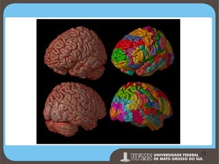 Prof. Ronny M de Moraes 72

72

 