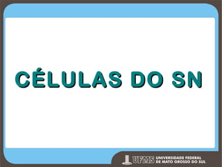CÉLULAS DO SN

Prof. Ronny M de Moraes 89

 
