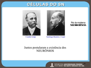 CÉLULAS DO SN

Pai da moderna
NE
UROCIÊ
NCIA

Camilo Golgi
(1843-1926)

Santiago Ramón y Cajal (18521934)

Juntos postularam a existência dos
NEURÔNIOS

Prof. Ronny M de Moraes 90

90

 