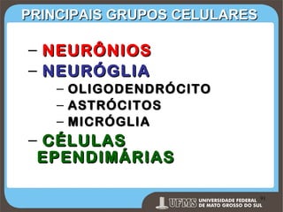 PRINCIPAIS GRUPOS CELULARES

– NEURÔNIOS
– NEURÓGLIA
–
–
–

OLIGODENDRÓCITO
ASTRÓCITOS
MICRÓGLIA

– CÉLULAS
EPENDIMÁRIAS
Prof. Ronny M de Moraes 91

91

 