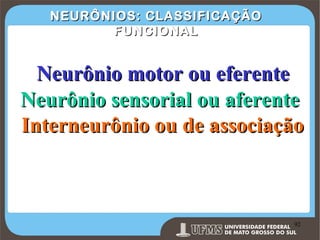 NEURÔNIOS: CLASSIFICAÇÃO
FUNCIONAL

Neurônio motor ou eferente
Neurônio sensorial ou aferente
Interneurônio ou de associação

Prof. Ronny M de Moraes 92

92

 