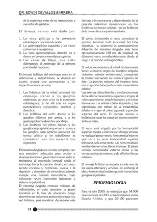 DR. EDWIN CEVALLOS BARRERA
de la esplénica antes de su terminación y
van al fondo gástrico.
El drenaje venoso está dado por:
1. La vena pilórica y la coronaria
estomáquica que van a la porta.
2. La gastroepiploica izquierda y los vasos
cortos van a la esplénica.
3. La vena gastroepiploica derecha va a
drenar en la vena mesentérica superior.
4. L as venas de Mayo, que están
delimitando el estómago de la primera
porción del duodeno.
El drenaje linfático del estómago nace en el
submucosa y subperitóneo, se dividen en
cuatro grupos que acompañan a los
respectivos vasos venosos.
1. Los linfáticos de la mitad proximal del
estómago drenan a los ganglios
esplénicos, se unen a los de la coronaria
estomáquica, y de allí con los supra
pancreáticos izquierdos, medios y
derechos.
2. Los linfáticos del antro drenan a los
ganglios pilóricos por arriba, y a los
gastroepiploicos derechos por abaja.
3. Los linfáticos del píloro drenan a los
ganglios suprapilóricos que van a su vez a
los ganglios para aórticos alrededor del
tronco celíaco y, los subpilóricos se
comunican con los mesentéricos
superiores
El intestino delgado es un tubo complejo, con
una estructura adecuada para ayudar a
diversas funciones, pero relacionadas entre si,
transporta el contenido luminal desde el
estómago hacia la porción distal y el colon,
secreta enzimas y hormonas, ayuda a la
digestión y absorción de minerales y además
cumple una función inmunitaria, bajo
influencia neuro humorales (páncreas y
sistema hepatobiliar).
El intestino delgado contiene millones de
vellosidades, el quilo atraviesa la pared
intestinal en la fase de absorción, luego
desembocan en la vena porta y tiene una rica
red linfática, peri intestinal. Acompaña este

74

drenaje a la vena porta y dependiendo de la
porción intestinal desembocan en los
linfáticos del tronco celíaco, en los linfáticos
de la mesentérica superior o inferior.
El colon, incluyendo el recto constituye la
porción terminal multi funcional del tubo
digestiva, su anatomía es sustancialmente
diferente del intestino delgado, éste tiene
aproximadamente 150 cm. de longitud, su
diámetro varía considerablemente desde el
ciego a la porción rectosigmoidea.
El colon ascendente y el mitad del transverso
tienen el mismo origen del intestino delgado
(intestino anterior embrionario), comparten
la misma inervación así como irrigación de
éste. La porción restante del intestino tiene
una irrigación dado por la arteria mesentérica
inferior.
Las arterias cólica derecha y media son ramas
de la arteria mesentérica superior e irrigan al
colon ascendente, ángulo hepático y el colon
transverso. La arteria cólica izquierda y las
sigmoideas son ramas de la mesentérica
inferior e irrigan el colon izquierdo y porción
superior del recto. El drenaje venoso y
linfático es hacia los vasos del mismo nombre
de las arterias.
El recto está irrigado por la hemorroidal
superior, media, e inferior, y el drenaje venoso
se realiza al plexo venoso hemorroidal interno
que va a la vena hemorroidal superior
tributaria de la vena porta. Las hemorroidales
medias drenan a las ilíacas internas. El plexo
venoso hemorroidal externo drena a las
venas pudendas internas, y de allí a las ilíacas
internas.
El drenaje linfático acompaña a cada uno de
los vasos arteriales y venosos, sin embargo el
plexo hemorroidal externo puede drenar a los
ganglios inguinales.

EPIDEMIOLOGIA
Para el año 2000, se estimaba que 54.900
nuevos casos de LNH, eran detectados en los
Estados Unidos, y que 26.100 pacientes

 