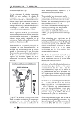 DR. EDWIN CEVALLOS BARRERA
secretoras de IgG. IgA o IgE.
En las discrasias de células plasmáticas
(DCP), un clon maligno de células B,
productos de una inmunoglobulina
monoclonal ha tenido un patrón de desarrollo
similar, aunque quizá con un desequilibrio en
la formación de las cadenas pesadas y
livianas. Al menos dos segmentos genéticos
contribuyen a cada región constante y
variable de las cadenas pesadas y liviana.
En los segmentos de ADN, que codifican la
familia de los genes de las cadenas pesadas se
encuentran en el cromosoma 14, las cadenas
livianas kappa, están codificadas en el
cromosoma 2 y las cadenas livianas lambda
lo están en el cromosoma 22.
Normalmente en un primer paso para la
formación de una inmunoglobulina, se
produce una reorganización de la cadena
pesada en el cromosoma 14, que determina
el compromiso de esas células hacia la estirpe
B. En una serie de reordenamientos se
expresan los diferentes péptidos mu de la
membrana, una vez en contacto con un
antígeno.

otras inmunoglobulinas disminuye, y la
respuesta inmune normal se altera.
Varios estudios han demostrado que la
interleucina 6 (IL-6), es un importante factor
promotor del crecimiento de las células del
mieloma, por mecanismo parácrino, al igual
que la interleucina 3 (IL-3). Las
concentraciones de estas interleucinas son
mayores en mieloma, con relación a las
concentraciones de la gamapatía
monoclonal de significado indeterminado
(GMSI), y la gamapatía monoclonal benigna
(GMB).
Otras citoquinas que intervienen en la
patogenia de las DCP son el factor de necrosis
,
tumoral y las interleucinas-1 beta (IL-1ß), alfa
recombinante (IL-αr), que estimulan a las
células del mieloma a secretar IL-6. Ambas
interleucinas (IL-1ß y la
IL-αr), están
implicadas en la destrucción ósea
característica del mileoma.
Otro factor de crecimiento implicado es el
factor estimulate de colonias (GM-CSF), que
es un estimulante de la IL-6, en las líneas
celulares del mieloma humano.
Así mismo se han identificado traslocaciones
cromosómicas que afectan a los genes
codificadores de los loci
de las
inmunoglobulinas y al gen myc en el ADN de
los ratones en los que se ha producido una
DCP experimental, también se han detectado
anomalías en los cromosomas 1, 3, 6, 11, 16,
y 17.
Un 26% de los pacientes presentan trisomía
9, 11, o 15 y un 40% t(11.14), un 50%
delección de RB, un 15-20% rearreglo de bcl1 y bcl-2. Rara vez hay traslocaciones para
genes de inmunoglobulinas c-myc, pero
frecuentemente hay sobre expresión de la
proteina c-myc y de mRNA, 30% tienen
mutación de p53 y un 30% mutación ras

En las DCP la proliferación del clon de células
,
B y la formación consiguiente de anticuerpos
persisten sin un estímulo antigénico
identificable. A menudo la producción de

96

Otras moléculas de adhesión son un tipo de
proteinas denominadas fibronectinas, y otro
tipo de integrinas de las células estromales de
la médula β1 y β2, así como un péptido

 