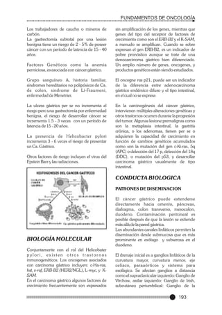 FUNDAMENTOS DE ONCOLOGÍA
Los trabajadores de caucho o mineros de
carbón.
La gastrectomía subtotal por una lesión
benigna tiene un riesgo de 2 - 5% de poseer
cáncer con un período de latencia de 15 - 40
años.
Factores Genéticos como la anemia
perniciosa, es asociada con cáncer gástrico.

sin amplificación de los genes, mientras que
genes del tipo del receptor de factores de
crecimiento como son el ERB-B2 y el K-SAM,
a menudo se amplifican. Cuando se sobre
expresan el gen ERB-B2, es un indicador de
pobre pronóstico aunque se trate de una
denocarcinoma gástrico bien diferenciado.
Un amplio número de genes, oncogenes, y
productos genéticos están siendo estudiados.

Grupo sanguíneo A, historia familiar,
sindromes hereditarios no polipósicos de Ca.
de colon, sindrome de Li-Fraumeni,
enfermedad de Menetrier.

El oncogne ras p21, puede ser un indicador
de la diferencia entre adenocarcinoma
gástrico endémico difuso y el tipo intestinal,
en el cual no se expresa

La ulcera gástrica per se no incrementa el
riesgo pero una gastrectomía por enfermedad
benigna, el riesgo de desarrollar cáncer se
incrementa 1.5 - 3 veces con un período de
latencia de 15 - 20 años.

En la carcinogénesis del cáncer gástrico,
intervienen múltiples alteraciones genéticas y
otros trastornos ocurren durante la progresión
del tumor. Algunas lesione premalignas como
son la metaplasia intestinal, la gastritis
crónica, o los adenomas, tienen per se o
adquieren la capacidad de crecimiento en
función de cambios genéticos acumulados
como son la mutación del gen c-Ki-ras, 5q
(APC) o delección del 17 p, delección del 18q
(DDC), o mutación del p53, y desarrollar
carcinoma gástrico usualmente de tipo
intestinal.

La presencia de Helicobacter pylori
incrementa 3 - 6 veces el riesgo de presentar
un Ca. Gástrico.
Otros factores de riesgo incluyen el virus del
Epstein Barr y las radiaciones.

CONDUCTA BIOLOGICA
PATRONES DE DISEMINACION

BIOLOGÍA MOLECULAR
Conjuntamente con el rol del Helicobater
pylori, existen otros trastor nos
inmunogenéticos. Los oncogenes asociados
con carcinoma gástrico incluyen: c-Ha-ras,
hst, v-raf, ERB-B2 (HER2/NGL), L-myc, y KSAM.
En el carcinoma gástrico algunos factores de
crecimiento frecuentemente son expresados

El cáncer gástrico puede extenderse
directamente hacia omento, páncreas,
diafragma, colon transverso, mesocolon,
duodeno. Contaminación peritoneal es
posible después de que la lesión se extiende
más allá de la pared gástrica.
Los abundantes canales linfáticos permiten la
diseminación desde submucosa que es más
prominente en esófago y subserosa en el
duodeno.
El drenaje inicial es a ganglios linfáticos de la
curvatura mayor, curvatura menor, eje
celíaco, paraaórticos y sistema para
esofágico. Se afectan ganglios a distancia
como el supraclavicular izquierdo: Ganglio de
Virchow, axilar izquierdo: Ganglio de Irish,
subcutáneo periumbilical: Ganglio de la

193

 