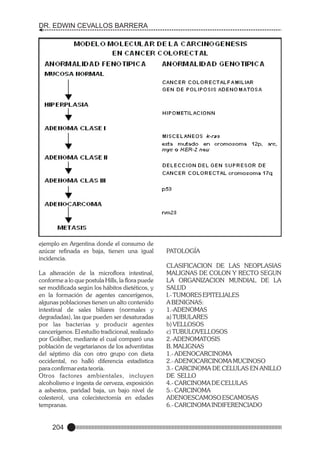 DR. EDWIN CEVALLOS BARRERA

ejemplo en Argentina donde el consumo de
azúcar refinada es baja, tienen una igual
incidencia.
La alteración de la microflora intestinal,
conforme a lo que postula Hills, la flora puede
ser modificada según los hábitos dietéticos, y
en la formación de agentes cancerígenos,
algunas poblaciones tienen un alto contenido
intestinal de sales biliares (normales y
degradadas), las que pueden ser desaturadas
por las bacterias y producir agentes
cancerígenos. El estudio tradicional, realizado
por Goldber, mediante el cual comparó una
población de vegetarianos de los adventistas
del séptimo día con otro grupo con dieta
occidental, no halló diferencia estadística
para confirmar esta teoría.
Otros factores ambientales, incluyen
alcoholismo e ingesta de cerveza, exposición
a asbestos, paridad baja, un bajo nivel de
colesterol, una colecistectomía en edades
tempranas.

204

PATOLOGÍA
CLASIFICACION DE LAS NEOPLASIAS
MALIGNAS DE COLON Y RECTO SEGUN
LA ORGANIZACION MUNDIAL DE LA
SALUD
I.- TUMORES EPITELIALES
A BENIGNAS:
1.-ADENOMAS
a) TUBULARES
b) VELLOSOS
c) TUBULOVELLOSOS
2.-ADENOMATOSIS
B. MALIGNAS
1.- ADENOCARCINOMA
2.- ADENOCARCINOMA MUCINOSO
3.- CARCINOMA DE CELULAS EN ANILLO
DE SELLO
4.- CARCINOMA DE CELULAS
5.- CARCINOMA
ADENOESCAMOSO ESCAMOSAS
6.- CARCINOMA INDIFERENCIADO

 