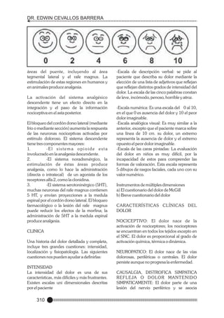 DR. EDWIN CEVALLOS BARRERA

áreas del puente, incluyendo al área
tegmental lateral y el rafe magnus. La
estimulación de estas regiones en humanos y
en animales produce analgesia.
La activación del sistema analgésico
descendente tiene un efecto directo en la
integración y el paso de la información
nociceptiva en el asta posterior.
El bloqueo del cordón dorso lateral (mediante
frío o mediante sección) aumenta la respuesta
de las neuronas nociceptivas activadas por
estímulo doloroso. El sistema descendente
tiene tres componentes mayores:
1.
-El sistema opioide esta
involucrado en la analgesia descendente.
2.
-El sistema noradrenérgico, la
estimulación de éstas áreas produce
analgesia, como lo hace la administración
(directa o intratecal) de un agonista de los
receptores alfa 2, como la clonidina.
3.
-El sistema serotoninérgico (5HT),
muchas neuronas del rafe magnus contienen
5 HT, y envían proyecciones a la medula
espinal por el cordón dorso lateral. El bloqueo
farmacológico o la lesión del rafe magnus
puede reducir los efectos de la morfina; la
administración de 5HT a la medula espinal
produce analgesia.
CLINICA
Una historia del dolor detallada y completa,
incluye tres grandes cuestiones: intensidad,
localización y fisiopatología. Las siguientes
cuestiones nos pueden ayudar a definirlas:
INTENSIDAD
La intensidad del dolor es una de sus
características, más difíciles y más frustrantes.
Existen escalas uni dimensionales descritas
por el paciente

310

-Escala de descripción verbal: se pide al
paciente que describa su dolor mediante la
elección de una lista de adjetivos que reflejan
que reflejan distintos grados de intensidad del
dolor. La escala de las cinco palabras constan
de leve, incómodo, penoso, horrible y atroz.
-Escala numérica: Es una escala del 0 al 10,
en el que 0 es ausencia del dolor y 10 el peor
dolor imaginable.
-Escala analógica visual: Es muy similar a la
anterior, excepto que el paciente marca sobre
una línea de 10 cm. su dolor, un extremo
representa la ausencia de dolor y el extremo
opuesto el peor dolor imaginable.
-Escala de las caras pintadas: La evaluación
del dolor en niños es muy difícil, por la
incapacidad de estos para comprender las
formas de valoración. Esta escala representa
5 dibujos de rasgos faciales, cada uno con su
valor numérico.
Instrumentos de múltiples dimensiones
a) El cuestionario del dolor de McGill
b) Breve cuestionario del dolor
CARACTERÍSTICAS CLÍNICAS DEL
DOLOR
NOCICEPTIVO: El dolor nace de la
activación de nociceptores; los nociceptores
se encuentran en todos los tejidos excepto en
el SNC. El dolor es proporcional al grado de
activación química, térmica o dinámica.
NEUROPATICO: El dolor nace de las vías
dolorosas, periféricas o centrales. El dolor
persiste aunque no progresa la enfermedad.
CAUSALGIA, DISTROFICA SIMPATICA
R E F L E JA O D O LO R M A N T E N I D O
SIMPATICAMENTE: El dolor parte de una
lesión del nervio periférico y se asocia

 