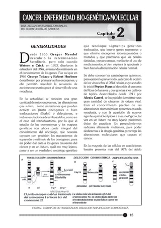 CANCER: ENFERMEDAD BIO-GENÉTICA-MOLECULAR
DRA. ALEJANDRA MANTILLA MORALES,
DR. EDWIN CEVALLOS BARRERA

Capítulo
GENERALIDADES

D

esde 1865 Gregor Mendel
descubrió la determinación
hereditaria, pero solo cuando
Watson y Crick. en 1953, diseñaron la
estructura del DNA, avanzando realmente en
el conocimiento de los genes. Fue así que en
1969 George Todazo y Robert Huebner
describieron por primera vez los oncogenes, y
ello permitió descubrir la secuencia de
acciones necesarias para el desarrollo de una
neoplasia.
En la actualidad se conocen una gran
cantidad de estos oncogenes, las alteraciones
que sufren, como mutaciones que pueden
activar un proto oncogenes o bien
traslocaciones (Burkit) ó delecciones, e
incluso mutaciones de ambos alelos, como en
el caso del retinoblastoma, por lo que el
estudio de los cromosomas y los mapeos
genéticos son ahora parte integral del
conocimiento del oncólogo, que necesita
conocer con precisión los mecanismos de
supresión o estímulo de los oncogenes, para
así poder dar caza a los genes causantes del
cáncer y en un futuro, ojalá no muy lejano,
pasar a ser un verdadero oncólogo genético

2

que recoloque segmentos genéticos
traslocados, que inserte genes supresores o
que elimine oncogenes sobreexpresados o
mutados y que promueva que las células
dañadas, precancerosas, mediante el uso de
medicamentos, o bien vayan a la apoptosis o
bien hacia la diferenciación celular normal.
Se debe conocer los carcinógenos químicos,
para ejercer la prevención, así como la acción
de los virus sobre el DNA celular, cuyo estudio
lo inició Peyton Rous al describir el sarcoma
de Rous de las aves y que gracias a los cultivos
de tejidos desarrollados desde 1911 por
Alexis Carrel, se ha podido demostrar una
gran cantidad de cánceres de origen viral.
Con el conocimiento preciso de las
alteraciones cromosómicas presentes en cada
neoplasia, y con la aparición de nuevos
agentes quimioterápicos e inmunológicos, tal
vez en un futuro no muy lejano podremos
dejar de practicar los procedimientos
radicales altamente mutilantes, para poder
dedicarnos a la cirugía genética, y corregir las
alteraciones moleculares que causan el
cáncer.
En la mayoría de las células en condiciones
basales presenta más del 90% del ácido

FIGURA.- 1 EJEMPLOS DE TRASLOCACION, DELECCION AMPLIFICACION CORMOSOMICA.

15

 