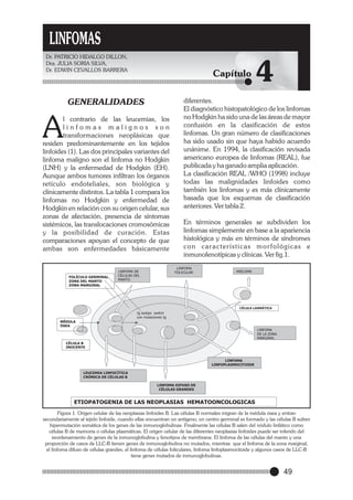 LINFOMAS
Dr. PATRICIO HIDALGO DILLON,
Dra. JULIA SORIA SILVA,
Dr. EDWIN CEVALLOS BARRERA

Capítulo

GENERALIDADES

A

l contrario de las leucemias, los
linfomas malignos son
transformaciones neoplásicas que
residen predominantemente en los tejidos
linfoides (1). Las dos principales variantes del
linfoma maligno son el linfoma no Hodgkin
(LNH) y la enfermedad de Hodgkin (EH).
Aunque ambos tumores infiltran los órganos
retículo endoteliales, son biológica y
clínicamente distintos. La tabla 1 compara los
linfomas no Hodgkin y enfermedad de
Hodgkin en relación con su origen celular, sus
zonas de afectación, presencia de síntomas
sistémicos, las translocaciones cromosómicas
y la posibilidad de curación. Estas
comparaciones apoyan el concepto de que
ambas son enfermedades básicamente

FOLÍCULO GERMINAL
ZONA DEL MANTO
ZONA MARGINAL

diferentes.
El diagnóstico histopatológico de los linfomas
no Hodgkin ha sido una de las áreas de mayor
confusión en la clasificación de estos
linfomas. Un gran número de clasificaciones
ha sido usado sin que haya habido acuerdo
unánime. En 1994, la clasificación revisada
americano europea de linfomas (REAL), fue
publicada y ha ganado amplia aplicación.
La clasificación REAL /WHO (1998) incluye
todas las malignidades linfoides como
también los linfomas y es más clínicamente
basada que los esquemas de clasificación
anteriores. Ver tabla 2.
En términos generales se subdividen los
linfomas simplemente en base a la apariencia
histológica y más en términos de síndromes
con características morfológicas e
inmunofenotípicas y clínicas. Ver fig.1.
LINFOMA
FOLICULAR

LINFOMA DE
CÉLULAS DEL
MANTO

4

MIELOMA

CÉLULA LASMÁTICA

Ig isotipo switch
con mutaciones Ig
MÉDULA
ÓSEA
LINFOMA
DE LA ZONA
MARGINAL
CÉLULA B
INOCENTE

LINFOMA
LINFOPLASMOCITOIDE
LEUCEMIA LINFOCÍTICA
CRÓNICA DE CÉLULAS B
LINFOMA DIFUSO DE
CÉLULAS GRANDES

ETIOPATOGENIA DE LAS NEOPLASIAS HEMATOONCOLOGICAS
Figura 1. Origen celular de las neoplasias linfoides B. Las células B normales migran de la médula ósea y entran
secundariamente al tejido linfoide, cuando ellas encuentran un antígeno, un centro germinal es formado y las células B sufren
hipermutación somática de los genes de las inmunoglobulinas. Finalmente las células B salen del nódulo linfático como
células B de memoria o células plasmáticas. El origen celular de las diferentes neoplasias linfoides puede ser inferido del
reordenamiento de genes de la inmunoglobulina y fenotipos de membrana. El linfoma de las células del manto y una
proporción de casos de LLC-B tienen genes de inmunoglobulina no mutados, mientras que el linfoma de la zona marginal,
el linfoma difuso de células grandes, el linfoma de células foliculares, linfoma linfoplasmocitoide y algunos casos de LLC-B
tiene genes mutados de inmunoglobulinas.

49

 