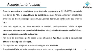 Ascaris lumbricoides
14
• Quando encontram condições favoráveis de temperatura (22ºC-30ºC), umidade
(em torno de 70%) e abundância de oxigênio, os ovos férteis se tornam infectantes
em cerca de 3 semanas (após duas mudas/ecdise das larvas contidas no seu interior)
– L3.
• Uma vez ingeridos, os ovos eclodem e liberam, principalmente, larva L3 que
penetram ativamente a parede do intestino, atingindo vênulas ou vasos linfáticos,
para realizarem seu ciclo pulmonar.
• Por meio da circulação porta essas larvas atingem o fígado, coração e os pulmões
em até 7 dias após a infecção.
• Os capilares são rompidos e as larvas chegam aos alvéolos.
• Por volta do 8ºdia estas larvas sofrem uma outra muda chegando ao estágio L4.
 