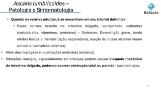 Ascaris lumbricoides –
Patologia e Sintomatologia
18
• Quando os vermes adultos já se encontram em seu hábitat definitivo:
• Esses vermes estarão no intestino delgado, consumindo nutrientes
(carboidratos, vitaminas, proteínas) – Sintomas: Desnutrição grave, tendo
efeitos físicos e mentais (ação espoliadora); reação do nosso sistema imune
(urticária, convulsão, edemas).
• Além das migrações e localizações anômalas (erradica).
• Infecções maciças, especialmente em crianças podem causar bloqueio mecânico
do intestino delgado, podendo ocorrer obstrução total ou parcial – caso cirúrgico.
 
