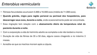 Enterobius vermicularis
26
• Fêmeas fecundadas acumulam 5.000 a 16.000 ovos (média de 11.000 ovos).
• Quando grávida, migra para região perianal ou perineal dos hospedeiros, para
descarregar seus ovos, durante a noite, onde ocasionalmente pode ser encontrada.
• Essa migração tem relação com o abaixamento diário da temperatura retal do
paciente durante a noite.
• Com a oviposição a vida do helminto adulto se completa e ele não tardará a morrer.
• Duração de vida da fêmea de 35 a 50 dias, alguns casos chegando a no máximo 3
meses.
• Acredita-se que os machos morram após a cópula.
 