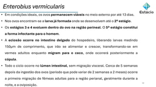 Enterobius vermicularis
28
• Em condições ideais, os ovos permanecem viáveis no meio externo por até 13 dias.
• Nos ovos encontram-se a larva já formada onde se desenvolvem até o 2º estágio.
• Os estágios 3 e 4 evoluem dentro do ovo na região perineal. O 5º estágio constitui
a forma infectante para o homem.
• A eclosão ocorre no intestino delgado do hospedeiro, liberando larvas medindo
150µm de comprimento, que irão se alimentar e crescer, transformando-se em
vermes adultos enquanto migram para o ceco, onde ocorrerá posteriormente a
cópula.
• Todo o ciclo ocorre no lúmen intestinal, sem migração visceral. Cerca de 5 semanas
depois da ingestão dos ovos (período que pode variar de 2 semanas a 2 meses) ocorre
a primeira migração de fêmeas adultas para a região perianal, geralmente durante a
noite, e a oviposição.
 