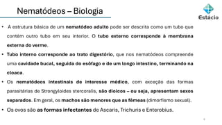 Nematódeos – Biologia
6
• A estrutura básica de um nematódeo adulto pode ser descrita como um tubo que
contém outro tubo em seu interior. O tubo externo corresponde à membrana
externa do verme.
• Tubo interno corresponde ao trato digestório, que nos nematódeos compreende
uma cavidade bucal, seguida do esôfago e de um longo intestino, terminando na
cloaca.
• Os nematódeos intestinais de interesse médico, com exceção das formas
parasitárias de Strongyloides stercoralis, são dioicos – ou seja, apresentam sexos
separados. Em geral, os machos são menores que as fêmeas (dimorfismo sexual).
• Os ovos são as formas infectantes de Ascaris, Trichuris e Enterobius.
 