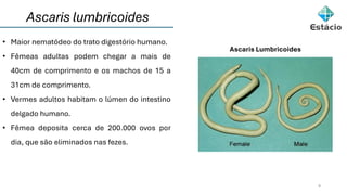 9
• Maior nematódeo do trato digestório humano.
• Fêmeas adultas podem chegar a mais de
40cm de comprimento e os machos de 15 a
31cm de comprimento.
• Vermes adultos habitam o lúmen do intestino
delgado humano.
• Fêmea deposita cerca de 200.000 ovos por
dia, que são eliminados nas fezes.
Ascaris Lumbricoides
Ascaris lumbricoides
 