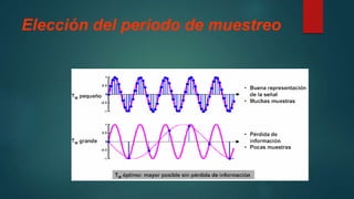Elección del periodo de muestreo
 