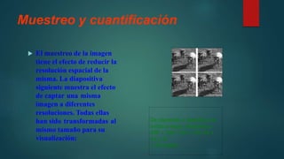 Muestreo y cuantificación
 El muestreo de la imagen
tiene el efecto de reducir la
resolución espacial de la
misma. La diapositiva
siguiente muestra el efecto
de captar una misma
imagen a diferentes
resoluciones. Todas ellas
han sido transformadas al
mismo tamaño para su
visualización:
De izquierda a derecha y de
arriba a abajo. Muestreo a
256 x 256, 128 x 128, 64 x
64 y 32
x 32 píxeles
 