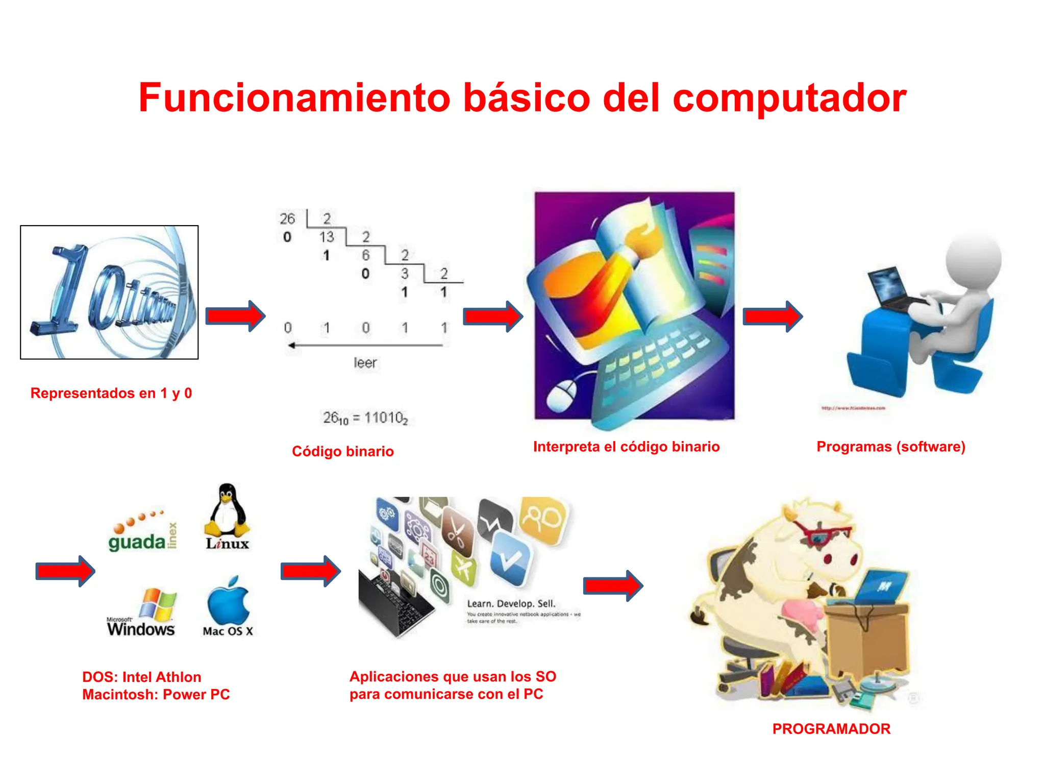 Funcionamiento básico del computador
Representados en 1 y 0
Código binario Interpreta el código binario Programas (software)
DOS: Intel Athlon
Macintosh: Power PC
Aplicaciones que usan los SO
para comunicarse con el PC
PROGRAMADOR
 