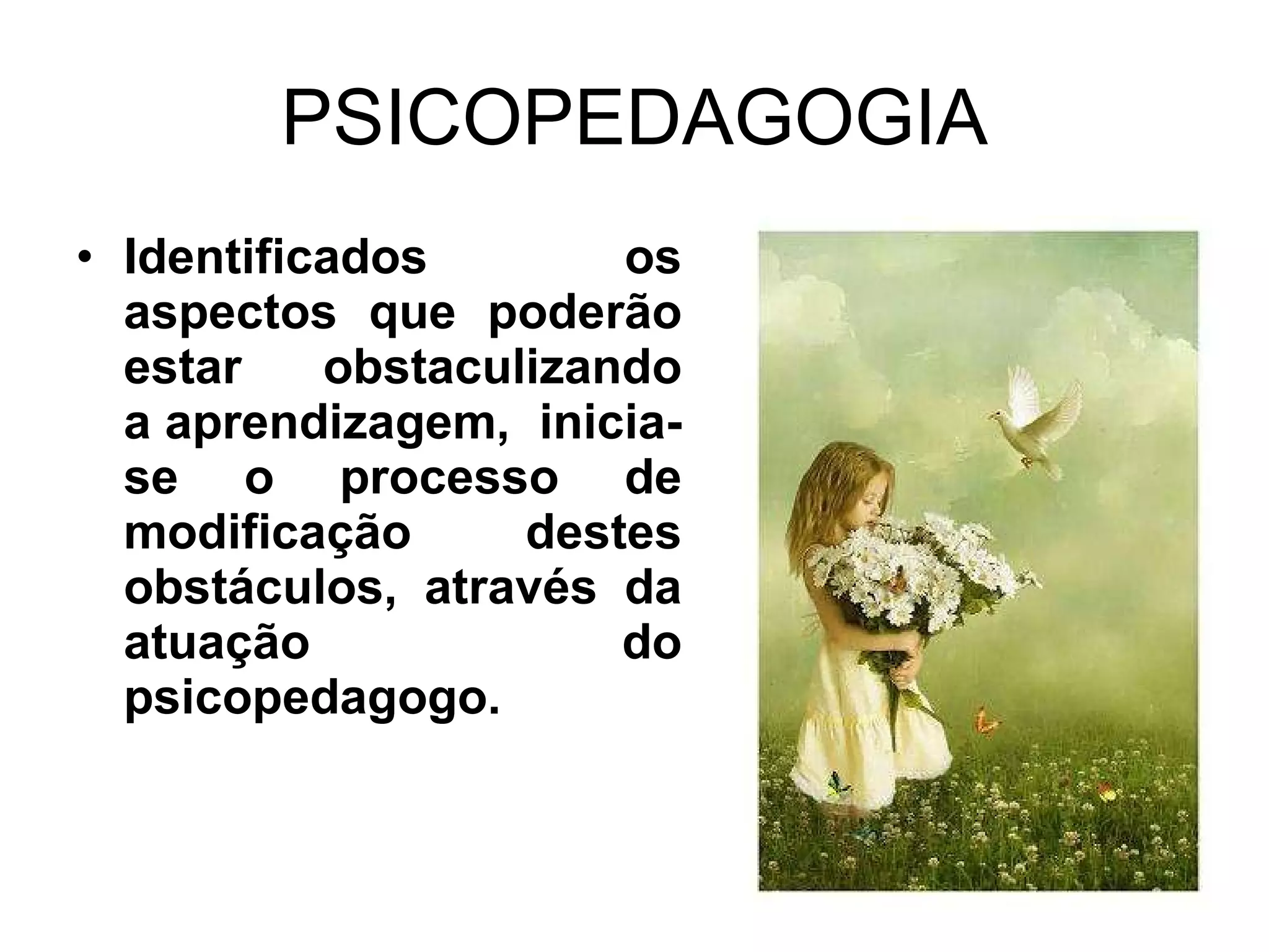Fundamentos da Psicopedagogia | PPT