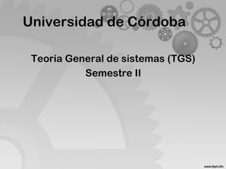 Universidad de Córdoba
Teoría General de sistemas (TGS)
Semestre II
 