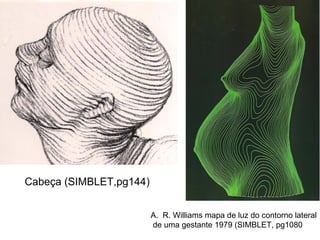 R. Williams mapa de luz do contorno lateral de uma gestante 1979 (SIMBLET, pg1080 Cabeça (SIMBLET,pg144) 