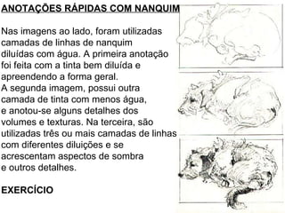 ANOTAÇÕES RÁPIDAS COM NANQUIM Nas imagens ao lado, foram utilizadas  camadas de linhas de nanquim  diluídas com água. A primeira anotação foi feita com a tinta bem diluída e  apreendendo a forma geral.  A segunda imagem, possui outra  camada de tinta com menos água,  e anotou-se alguns detalhes dos  volumes e texturas. Na terceira, são  utilizadas três ou mais camadas de linhas com diferentes diluições e se  acrescentam aspectos de sombra e outros detalhes. EXERCÍCIO 