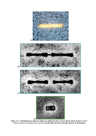 (a)
(b)
(c)
(d)
Figura 3.2 – Visualização das Linhas de Campo com limalha de ferro: (a) um ímã em forma de barra (Fonte:
Giancoli. Physics for engineers and scientists; (b) dois ímãs em barra com polos opostos se defrontando
 