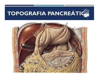 TOPOGRAFIA PANCREÁTICA
 