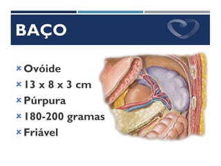 BAÇO
Ovóide
13 x 8 x 3 cm
Púrpura
180-200 gramas
Friável
 