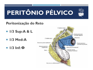 PERITÔNIO PÉLVICO
Peritonização do Reto
 1/3 Sup:A & L
 1/3 Med:A
 1/3 Inf: Φ
 