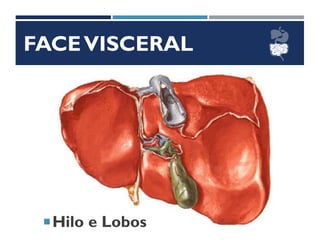 FACEVISCERAL
Hilo e Lobos
 