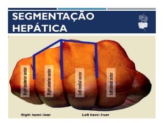 SEGMENTAÇÃO
HEPÁTICA
 
