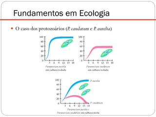  O caso dos protozoários (P.caudatum e P.aurelia)
Fundamentos em Ecologia
 