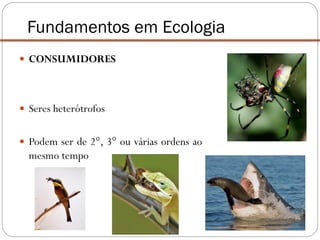  CONSUMIDORES
 Seres heterótrofos
 Podem ser de 2°, 3° ou várias ordens ao
mesmo tempo
Fundamentos em Ecologia
 
