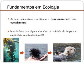  As teias alimentares constituem o funcionamento dos
ecossistemas;
 Interferência em algum dos elos -> miríade de impactos
ambientais (efeito dominó) !!!
Fundamentos em Ecologia
 
