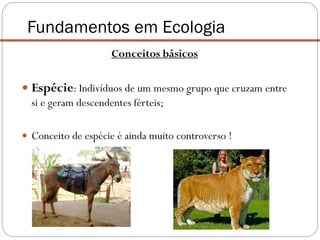 Conceitos básicos
 Espécie: Indivíduos de um mesmo grupo que cruzam entre
si e geram descendentes férteis;
 Conceito de espécie é ainda muito controverso !
Fundamentos em Ecologia
 